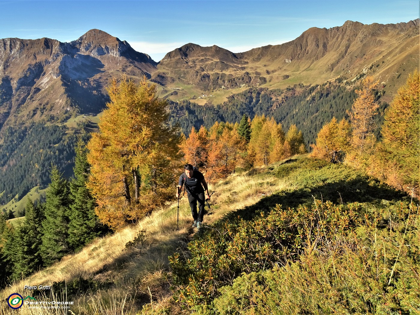 21 In decisa-ripida salita dalla Baita Nuova (1759 m)  alla cima del Monte Arete (2227 m) tra larici colorati d'autunno .JPG